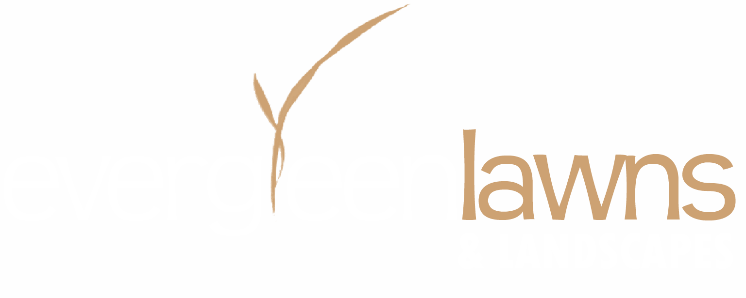 Evergreen Lawns & Landscapes